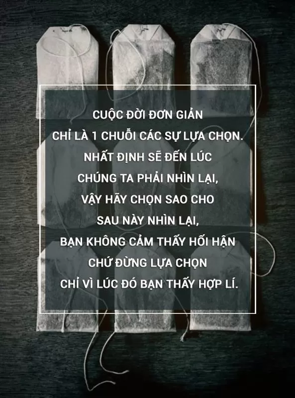 Câu chuyện về sự lựa chọn